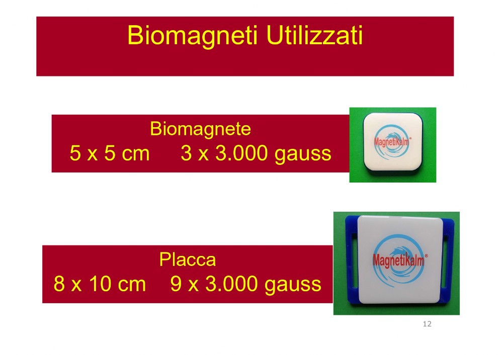 Bioamagneti e Bioceramica Bioceramica e biomagneti